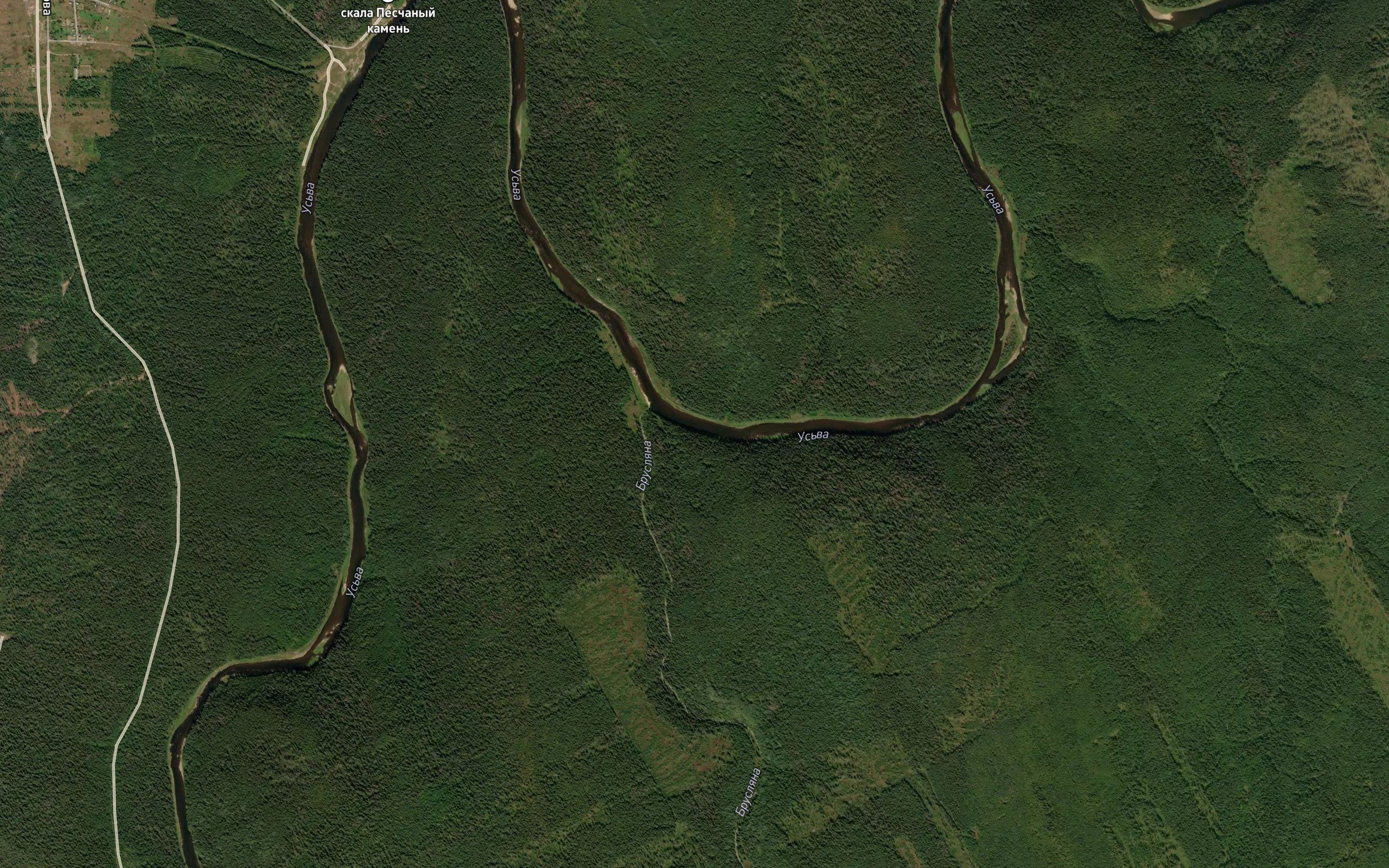 Bruslyana