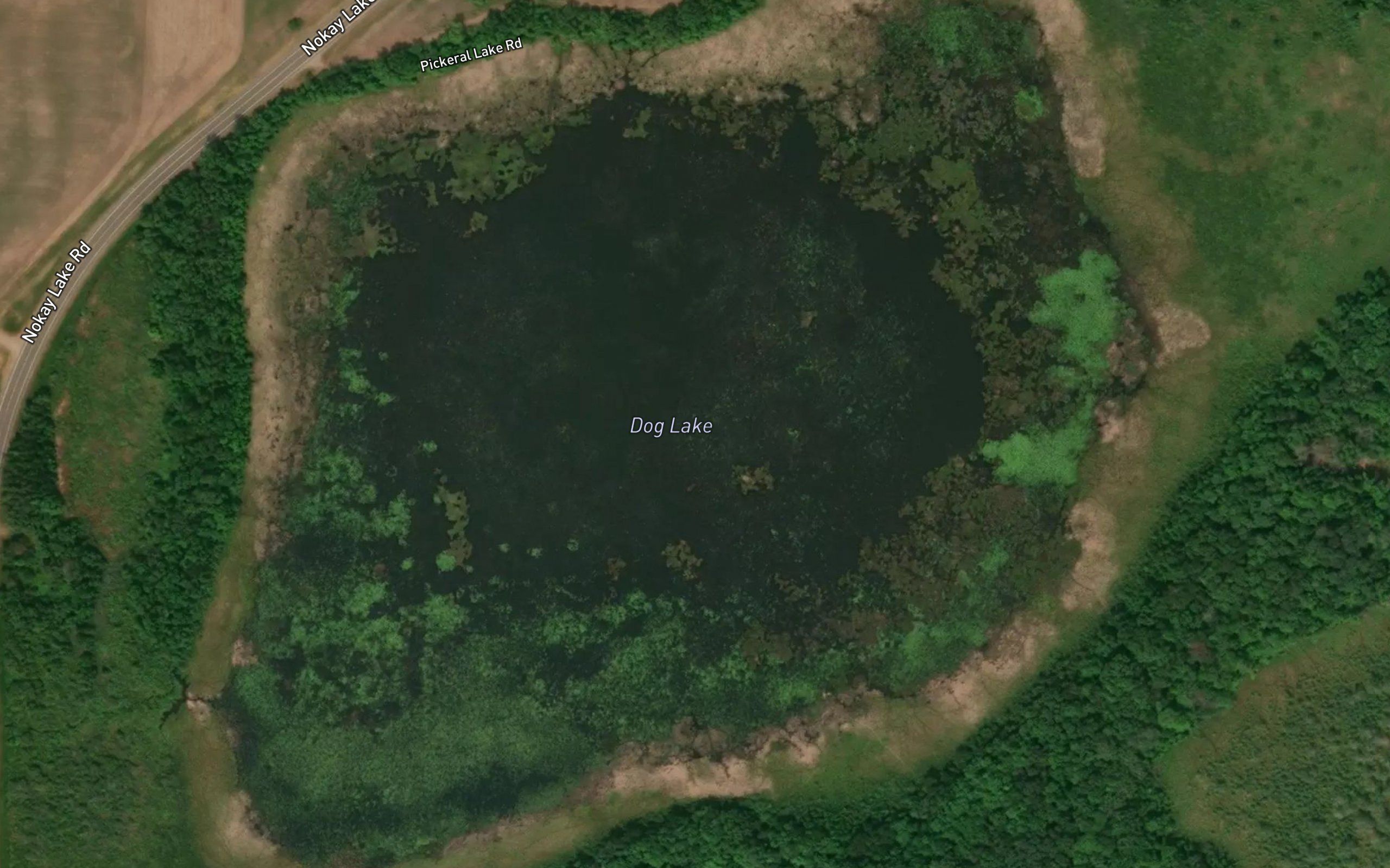 Dog Lake