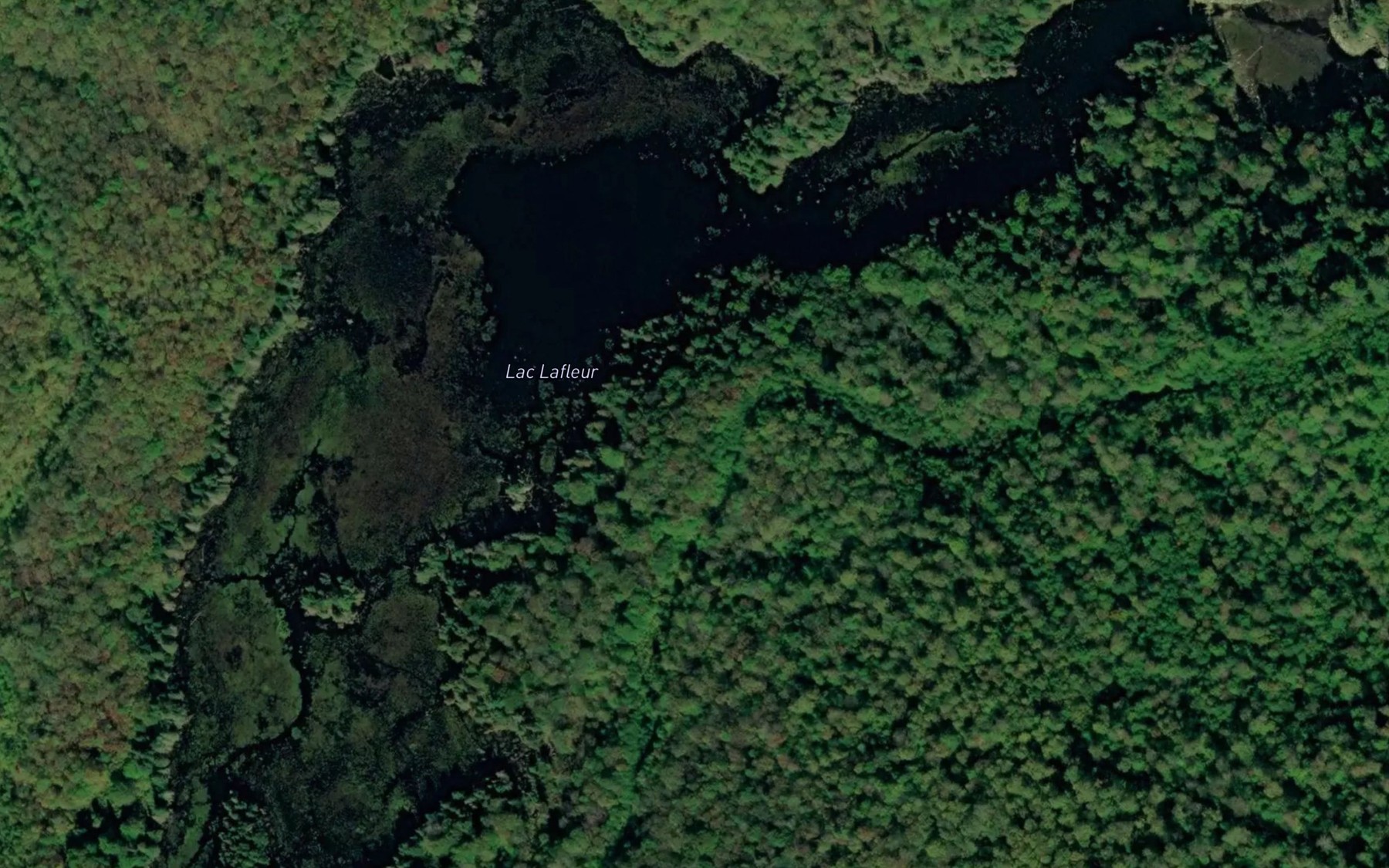 Satellite map of the Lac Lafleur