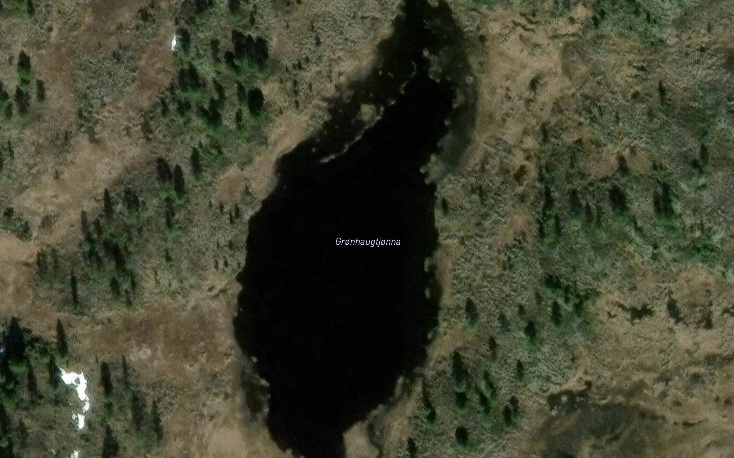 Gronhaugtjonna