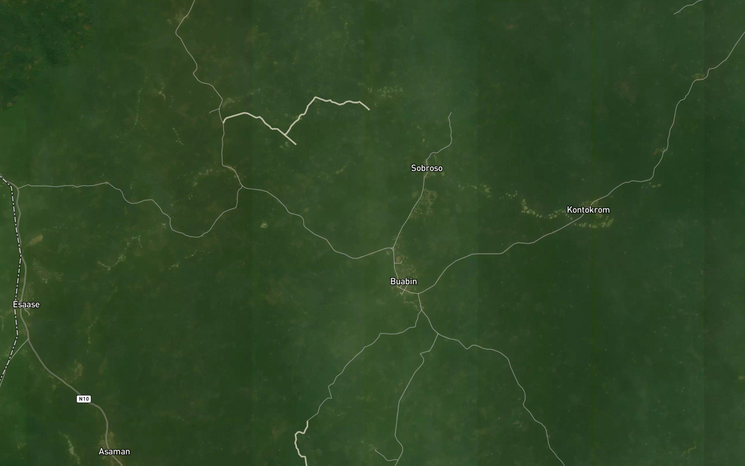 Buadua