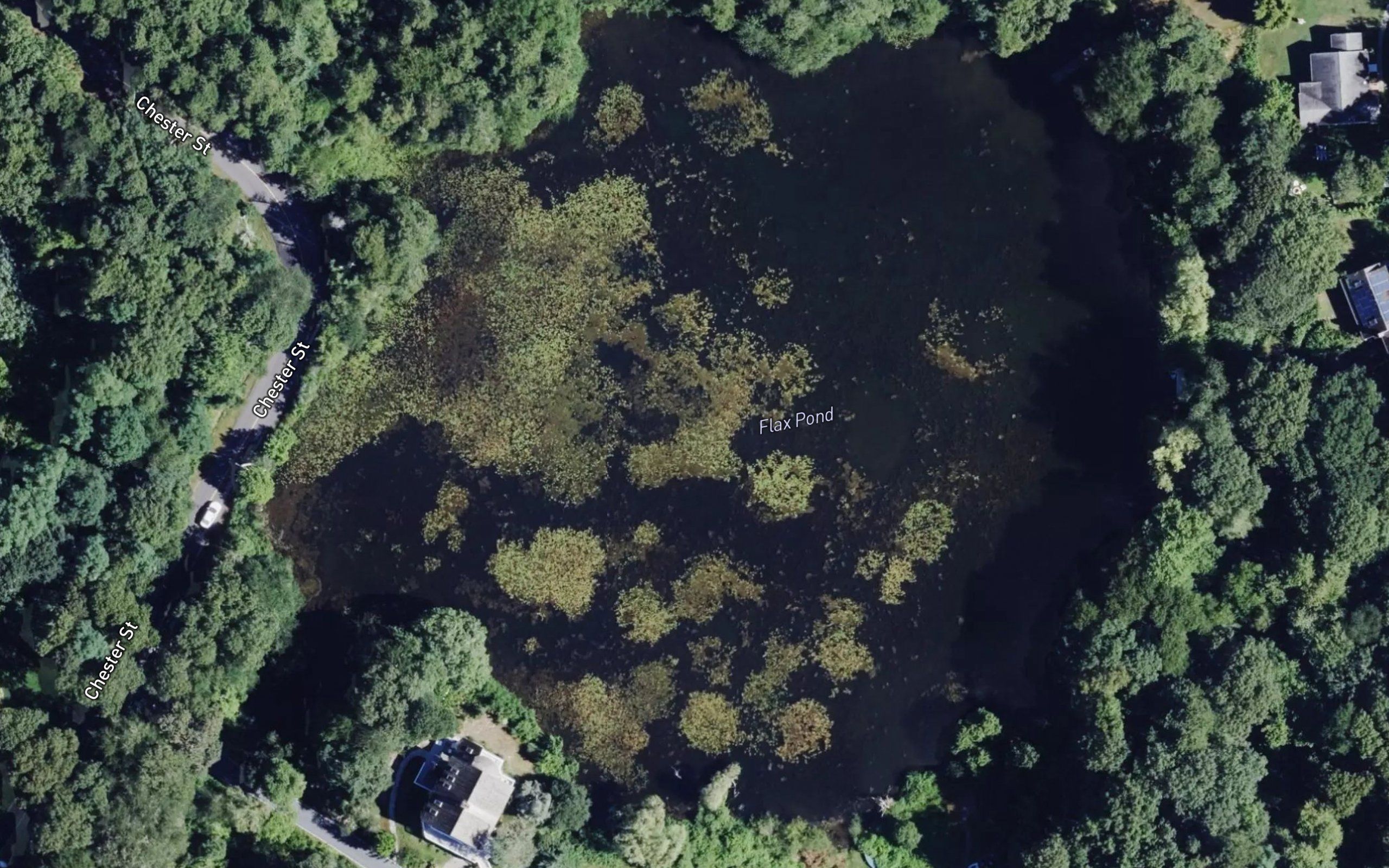 Flax Pond
