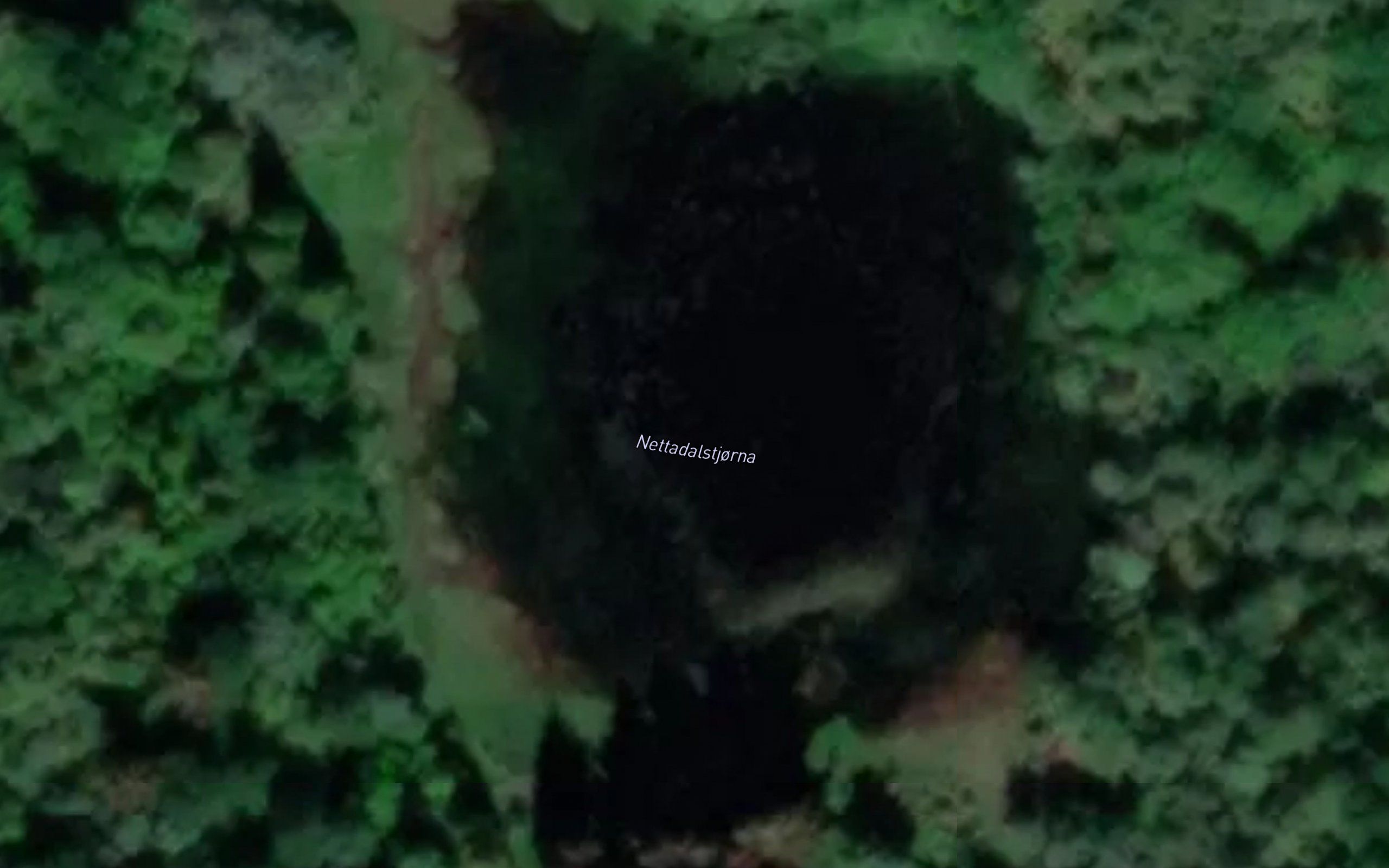 Nettadalstjorna