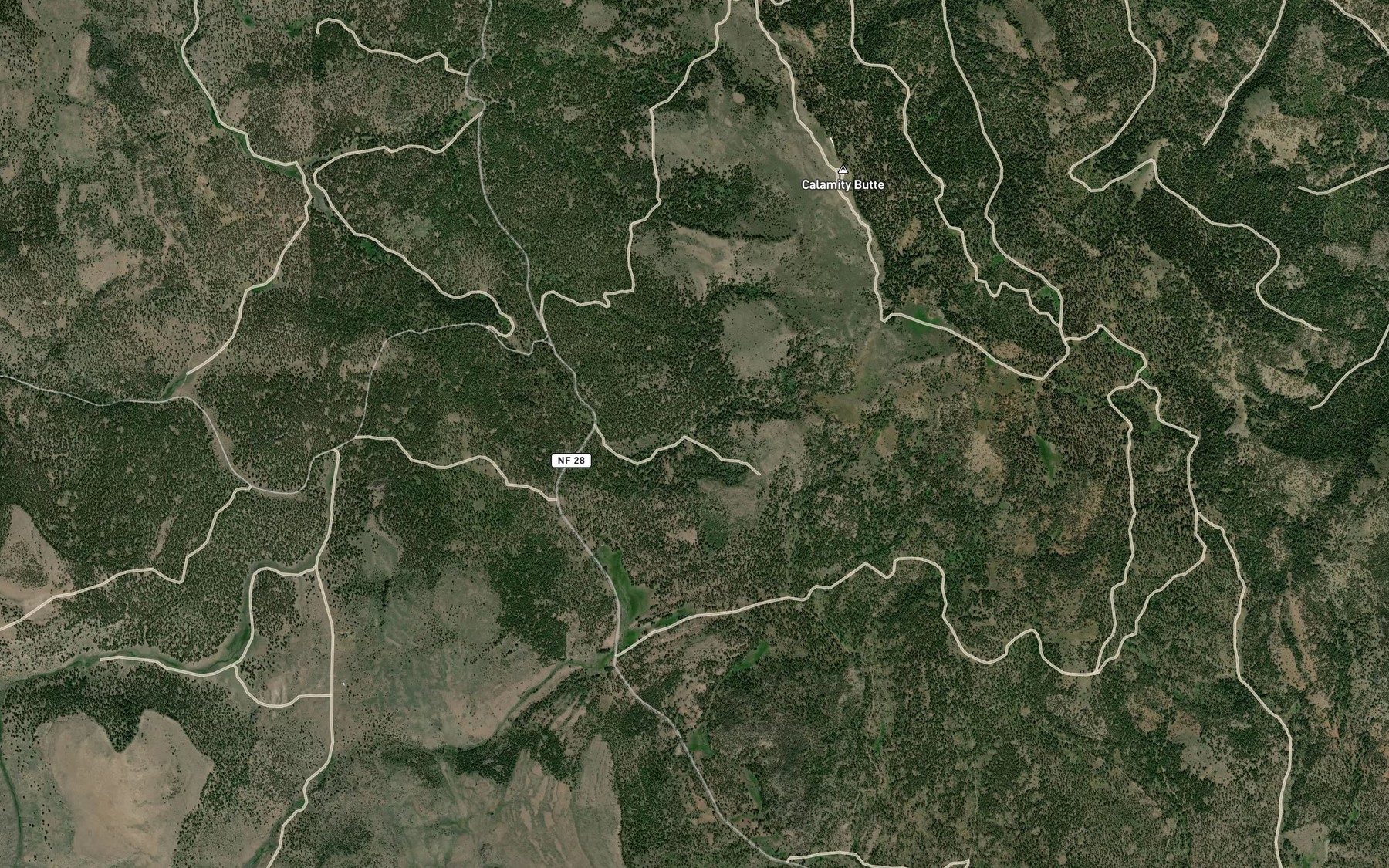 Satellite map of the Oard Spring