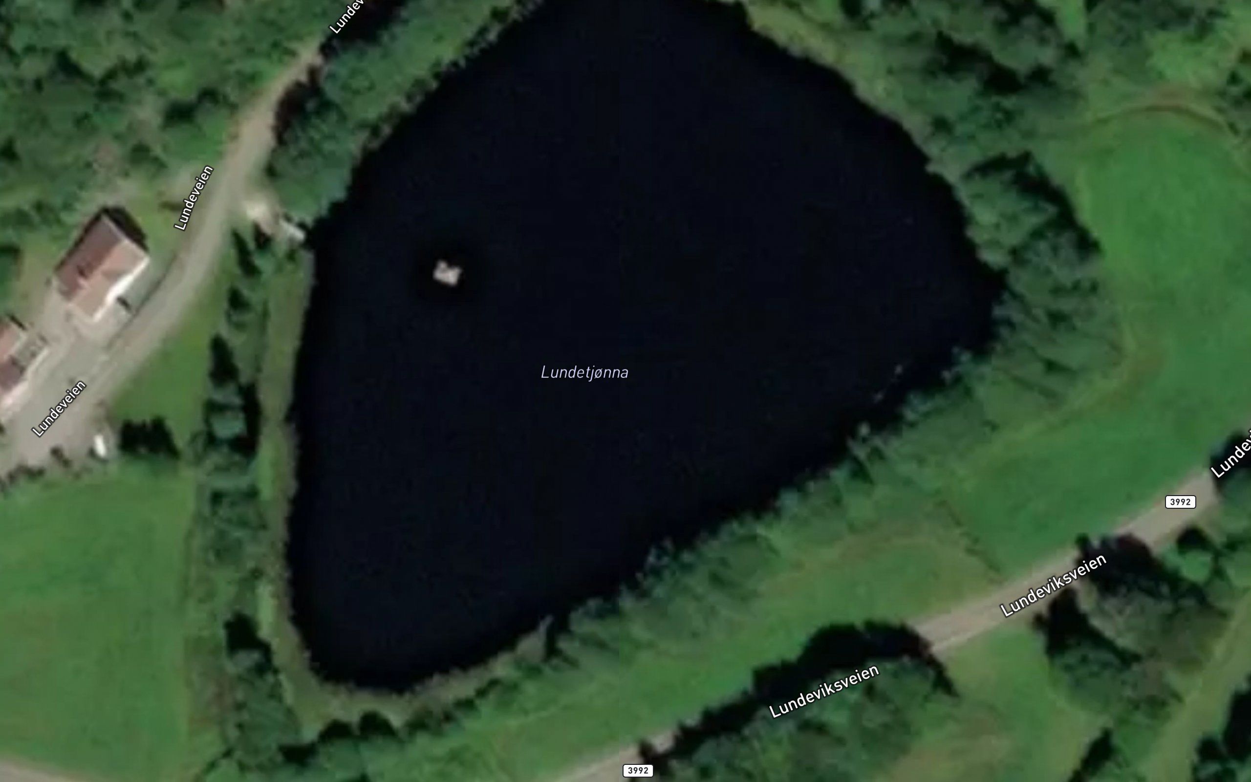 Lundetjonna