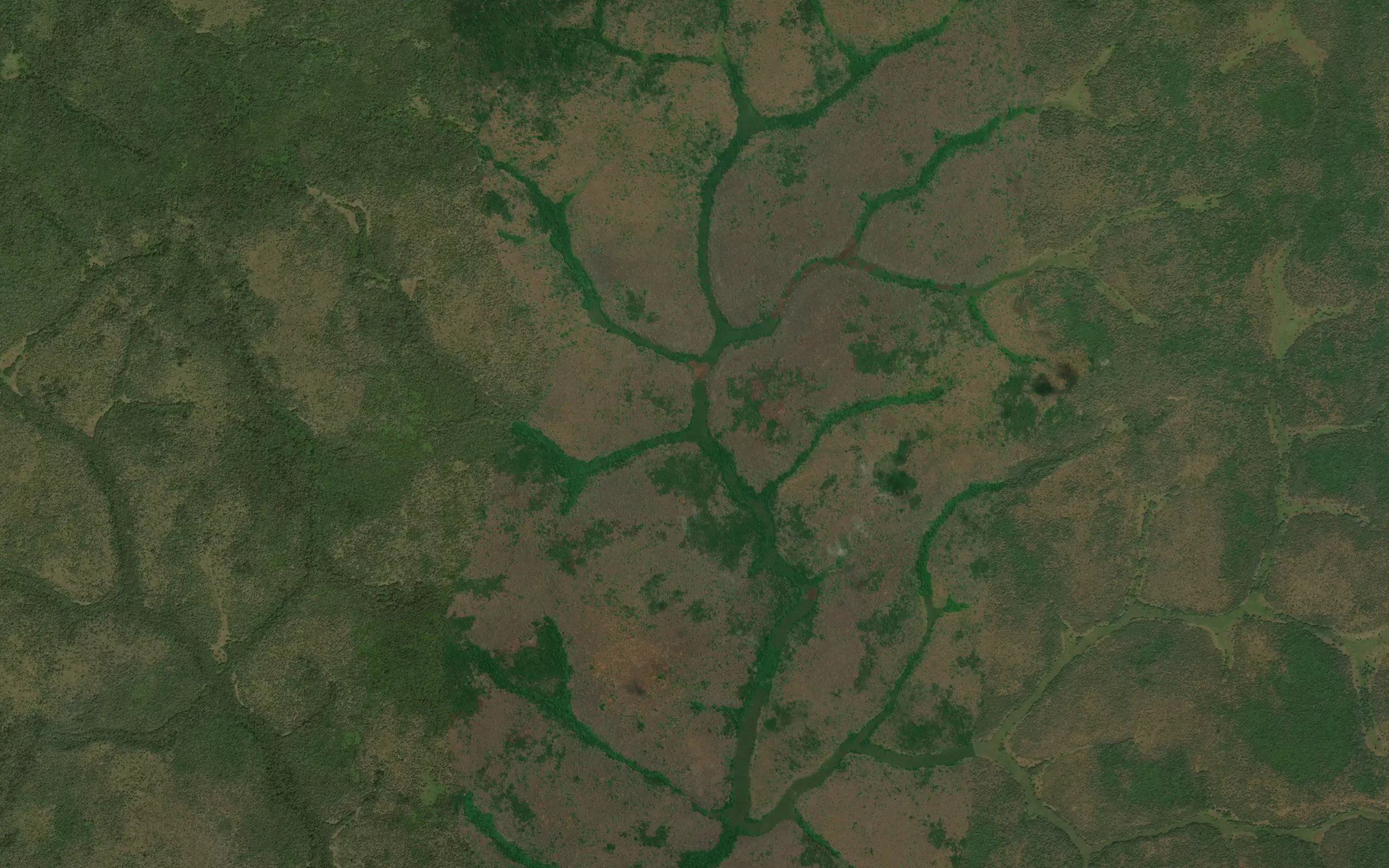 Nakwaza
