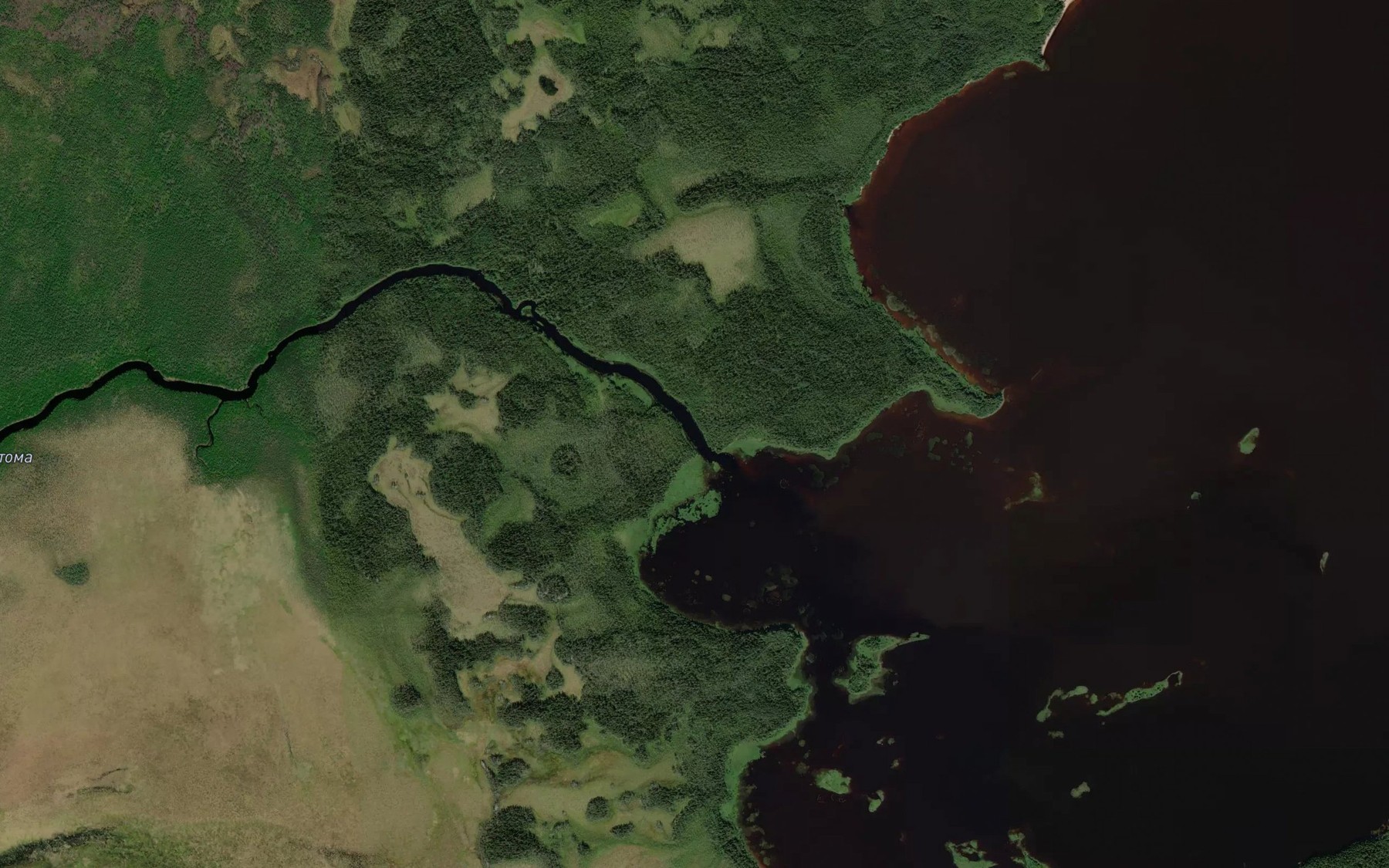 Satellite map of the Nizhnyaya Okhtoma