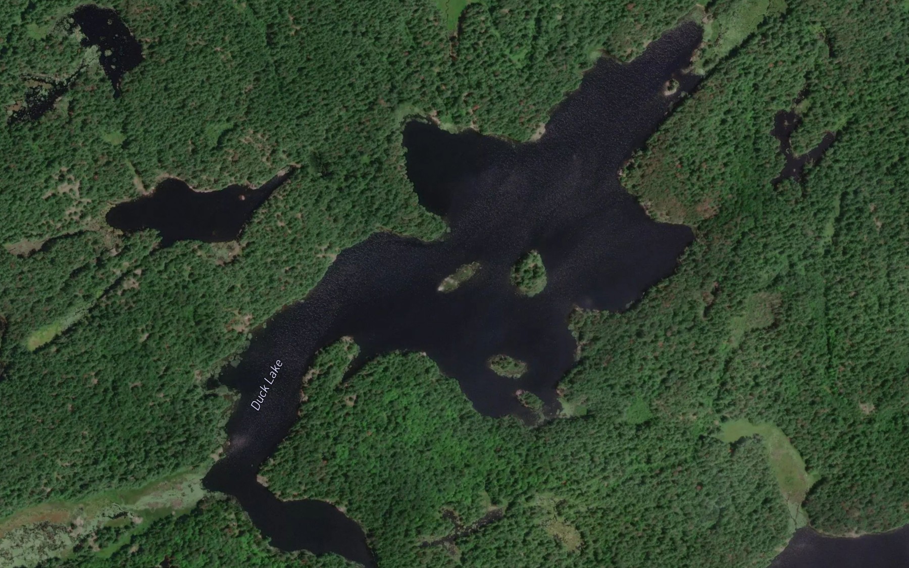 Satellite map of the Duck Lake