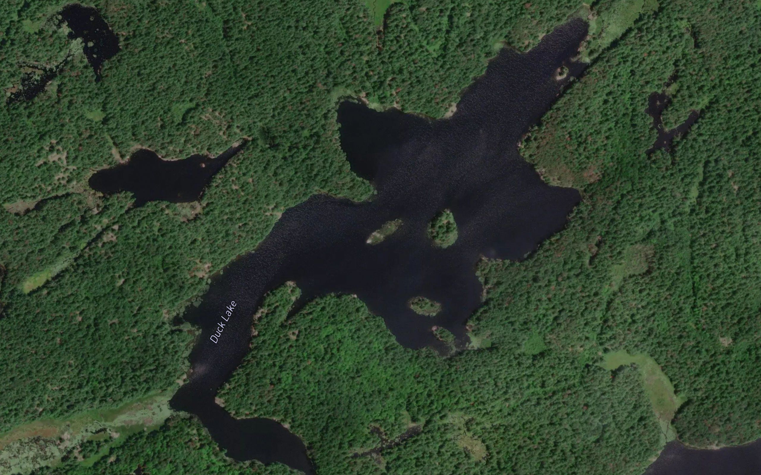 Duck Lake