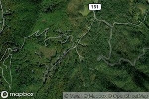 Wayah Branch