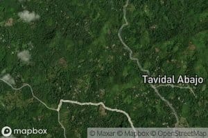Rio Tavidal
