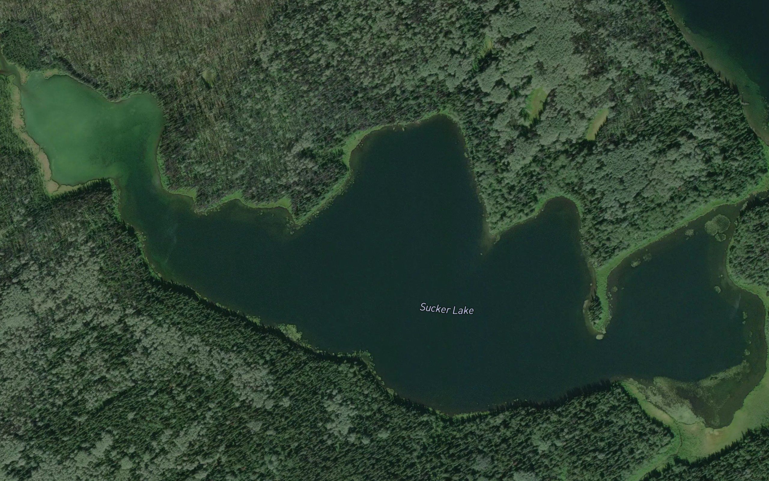 Sucker Lake