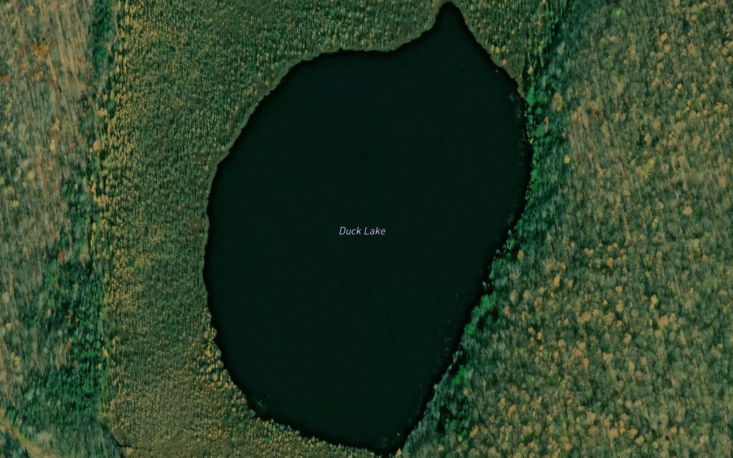 Duck Lake