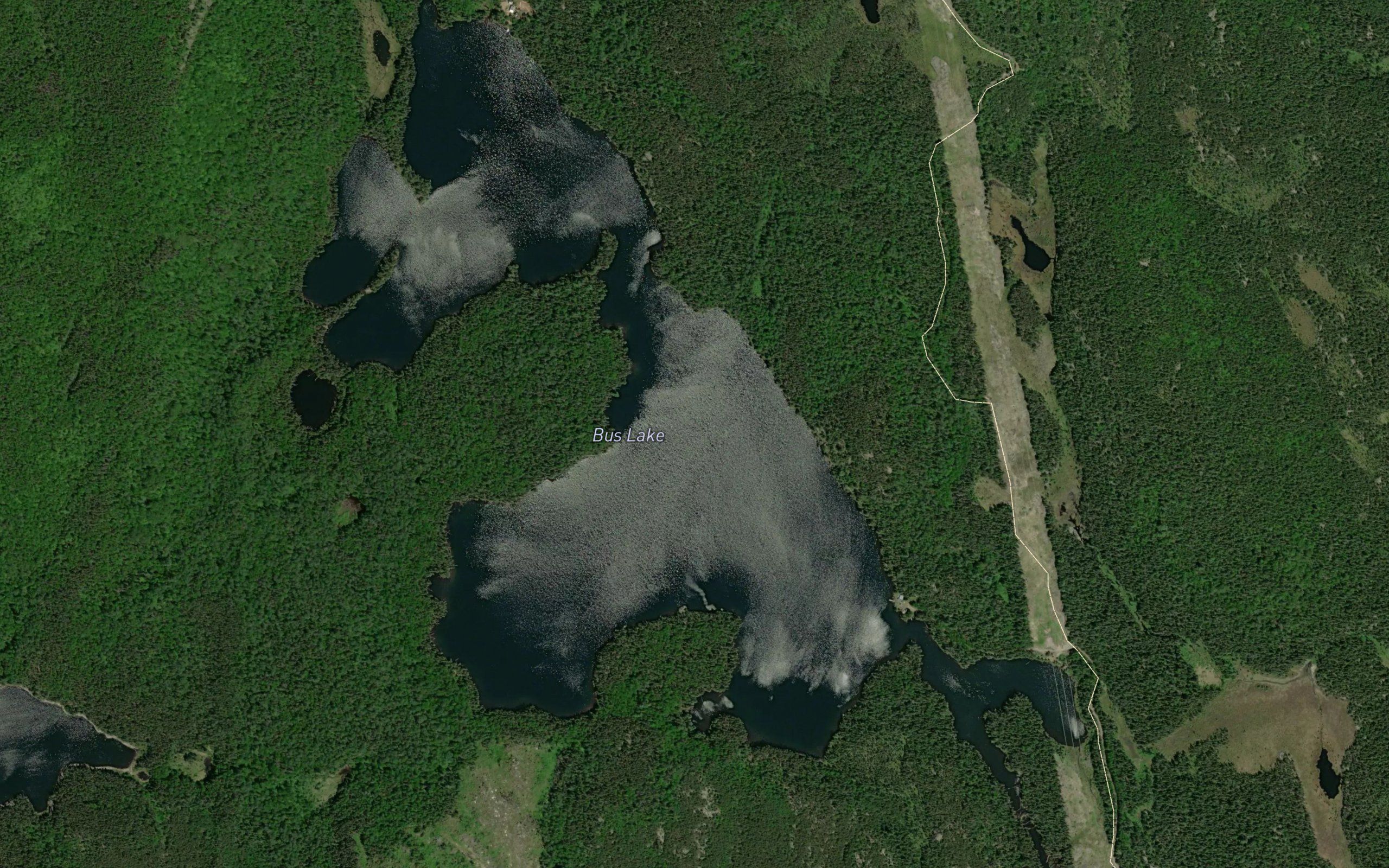 Bus Lake