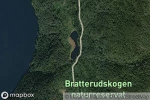 Bratterudtjorni,nordre