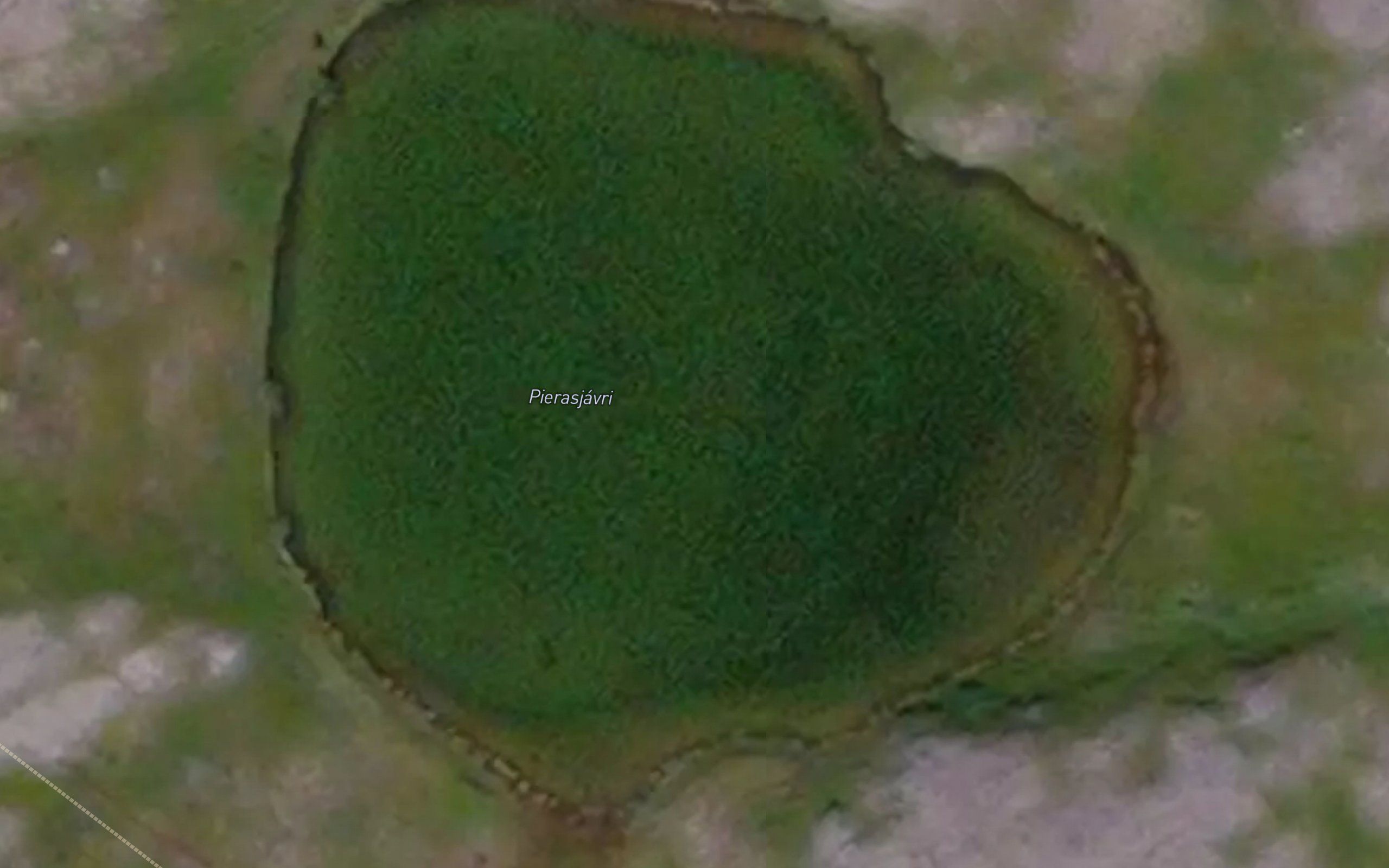 Pierasjavri