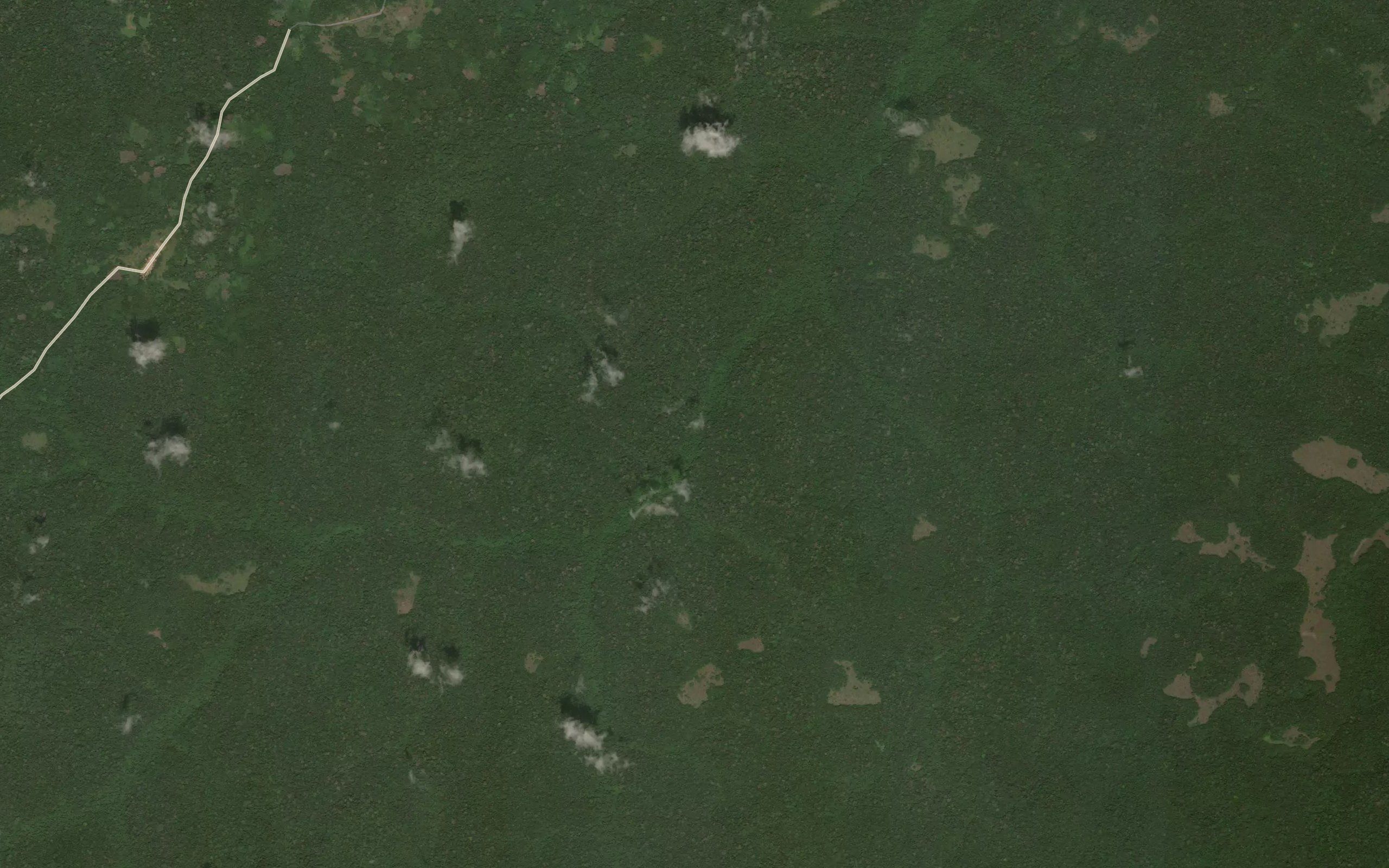 Lekoa