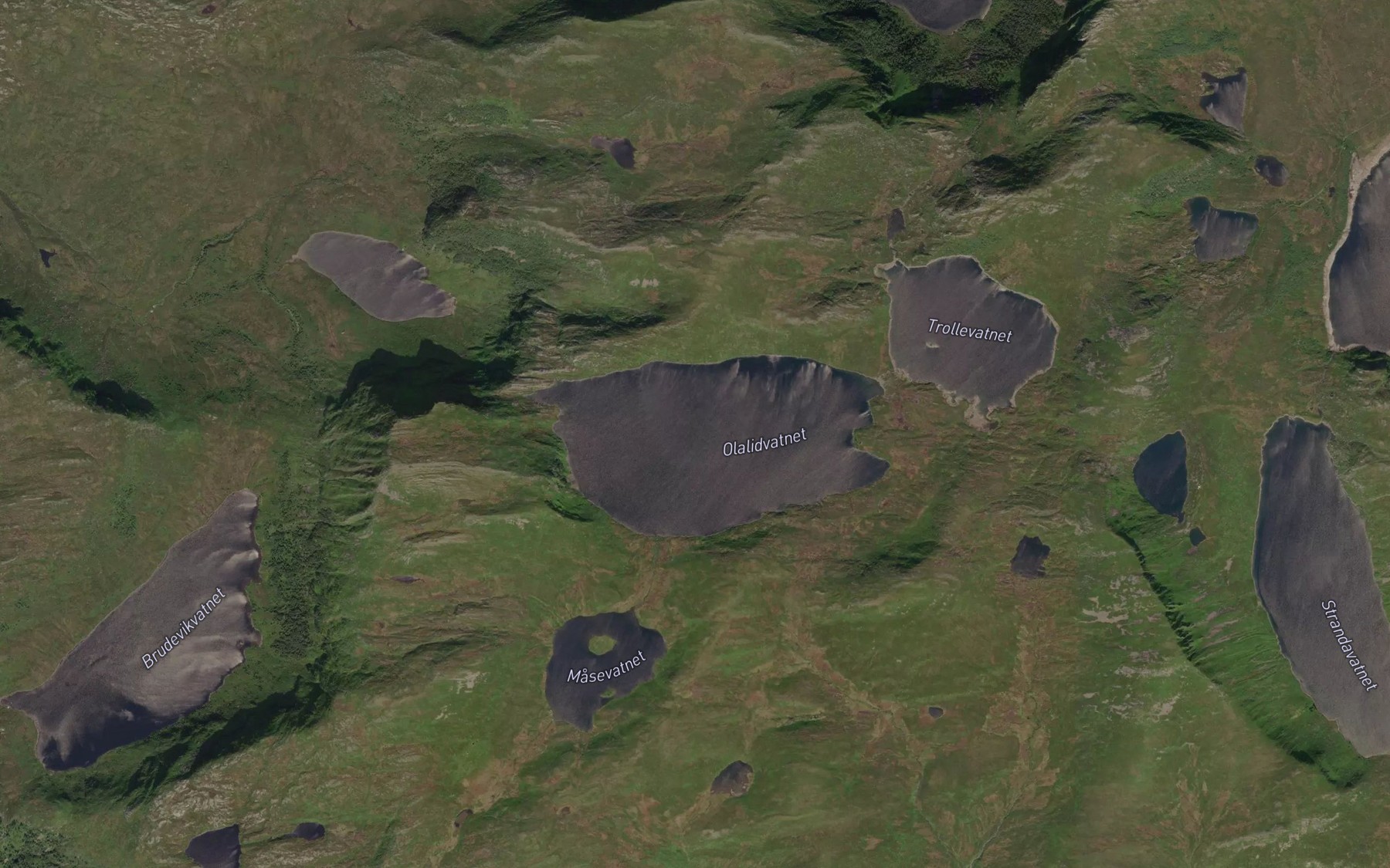Satellite map of the Olalidvatnet