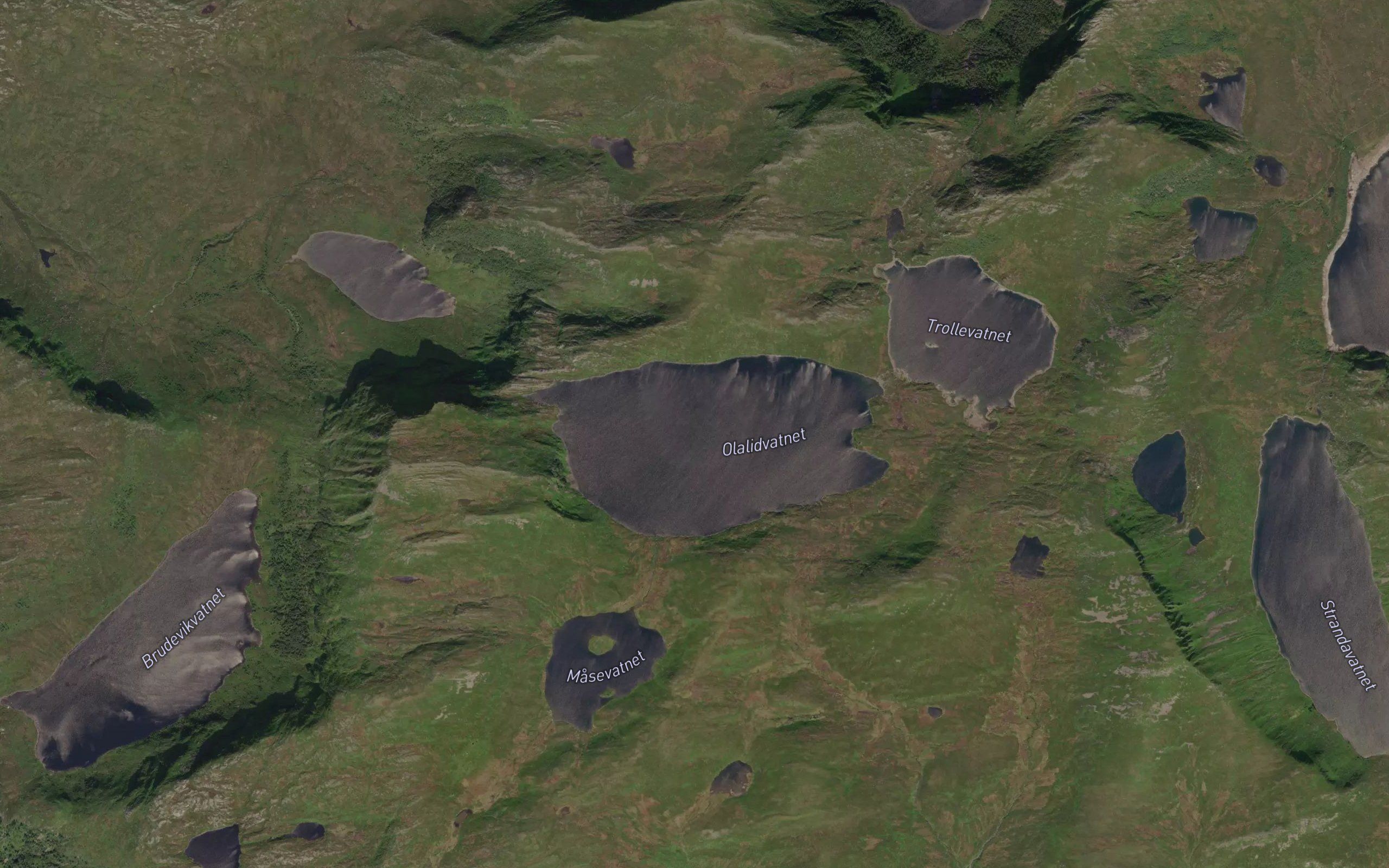 Olalidvatnet