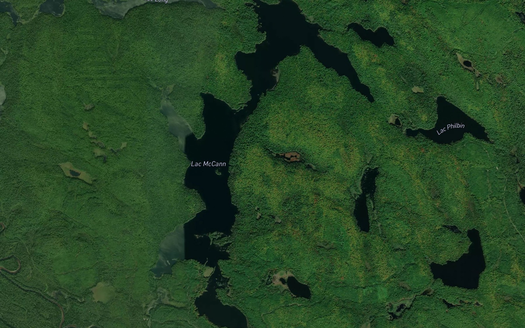 Satellite map of the Lac McCann