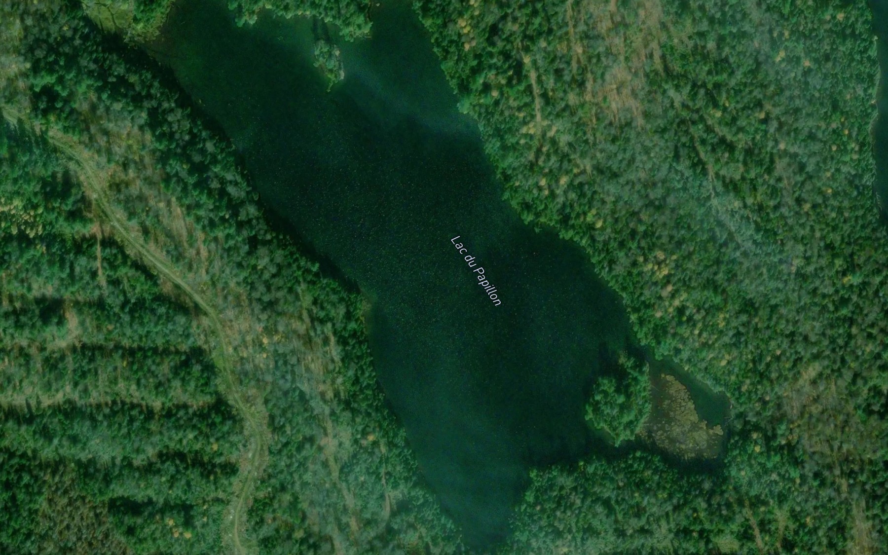 Satellite map of the Lac du Papillon