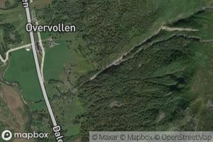 Overvollelva