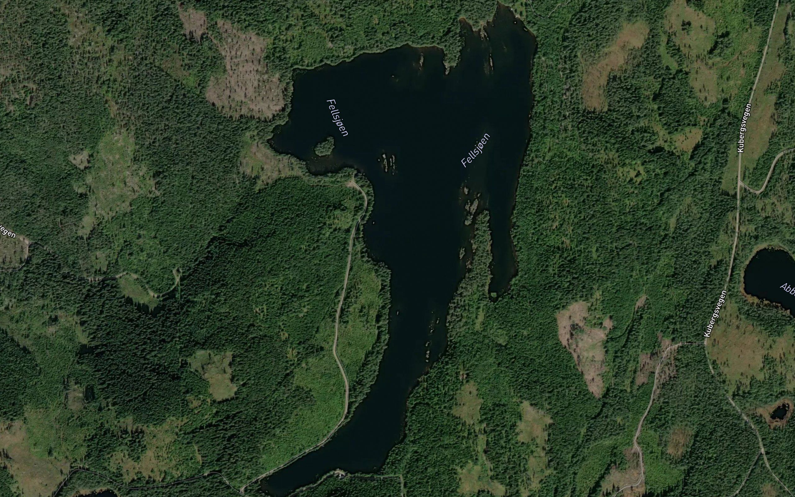 Fjellsjoen