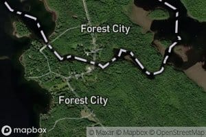 Forest City Stream
