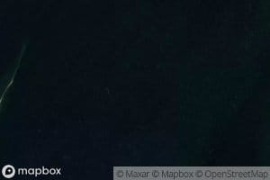 Estuario Silva Palma