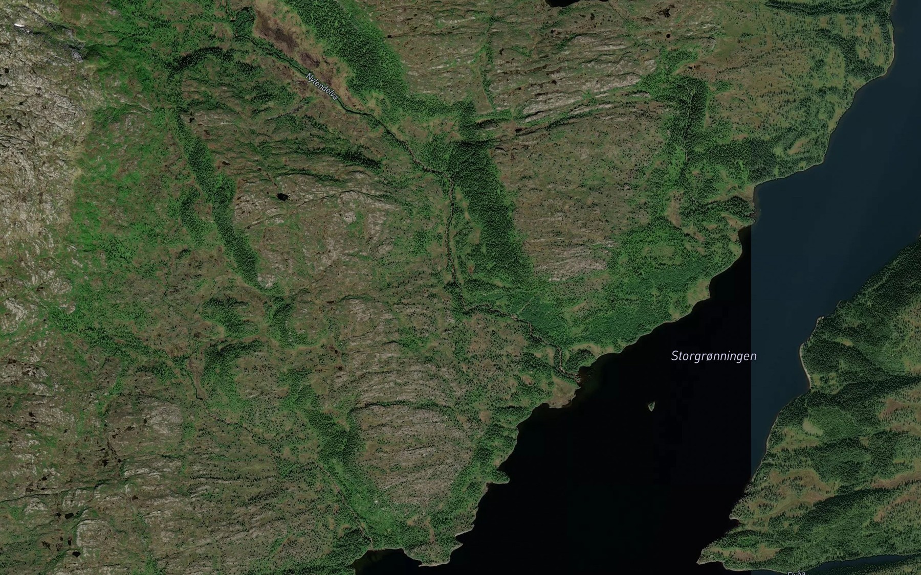 Satellite map of the Nylendelva