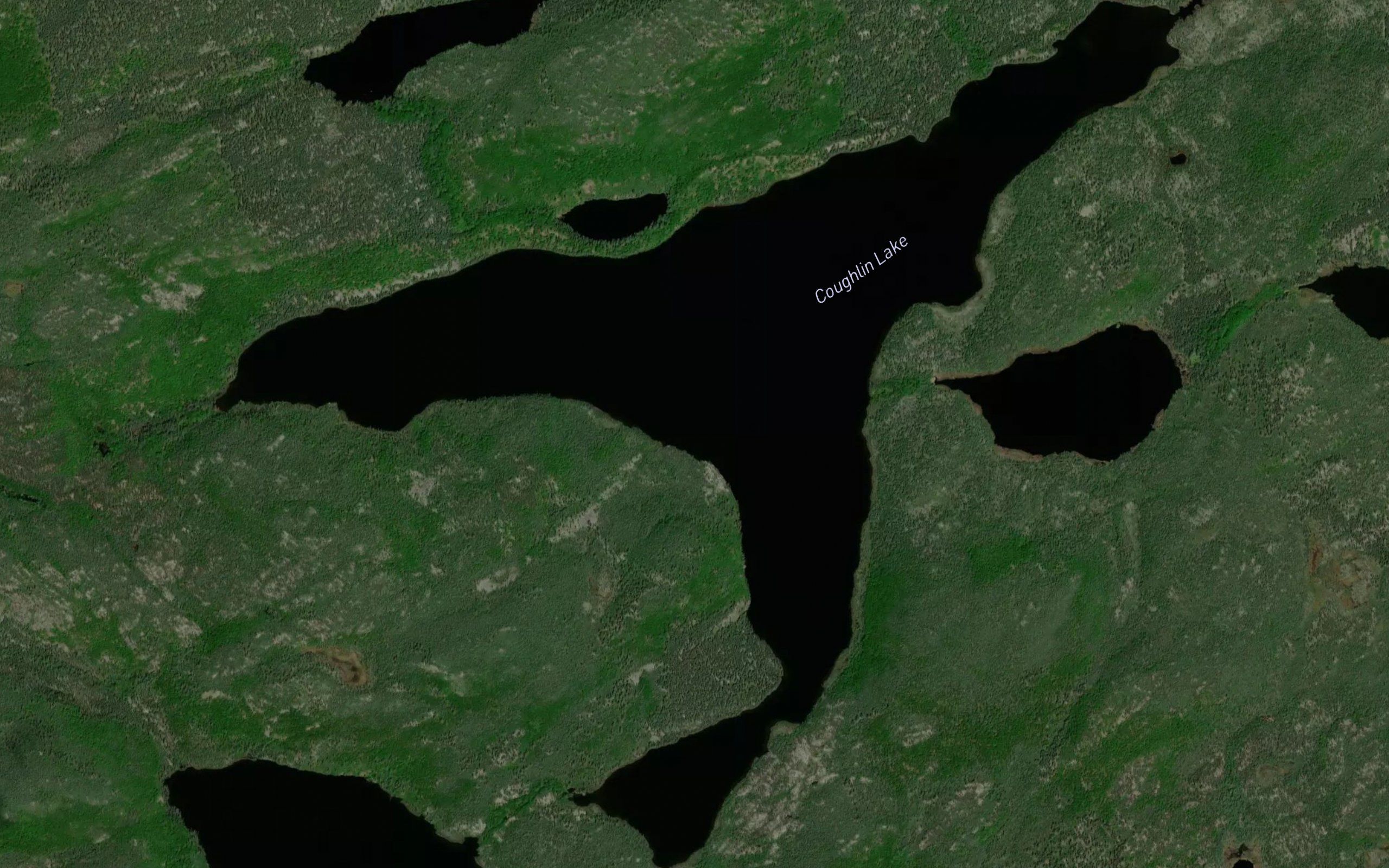 Coughlin Lake