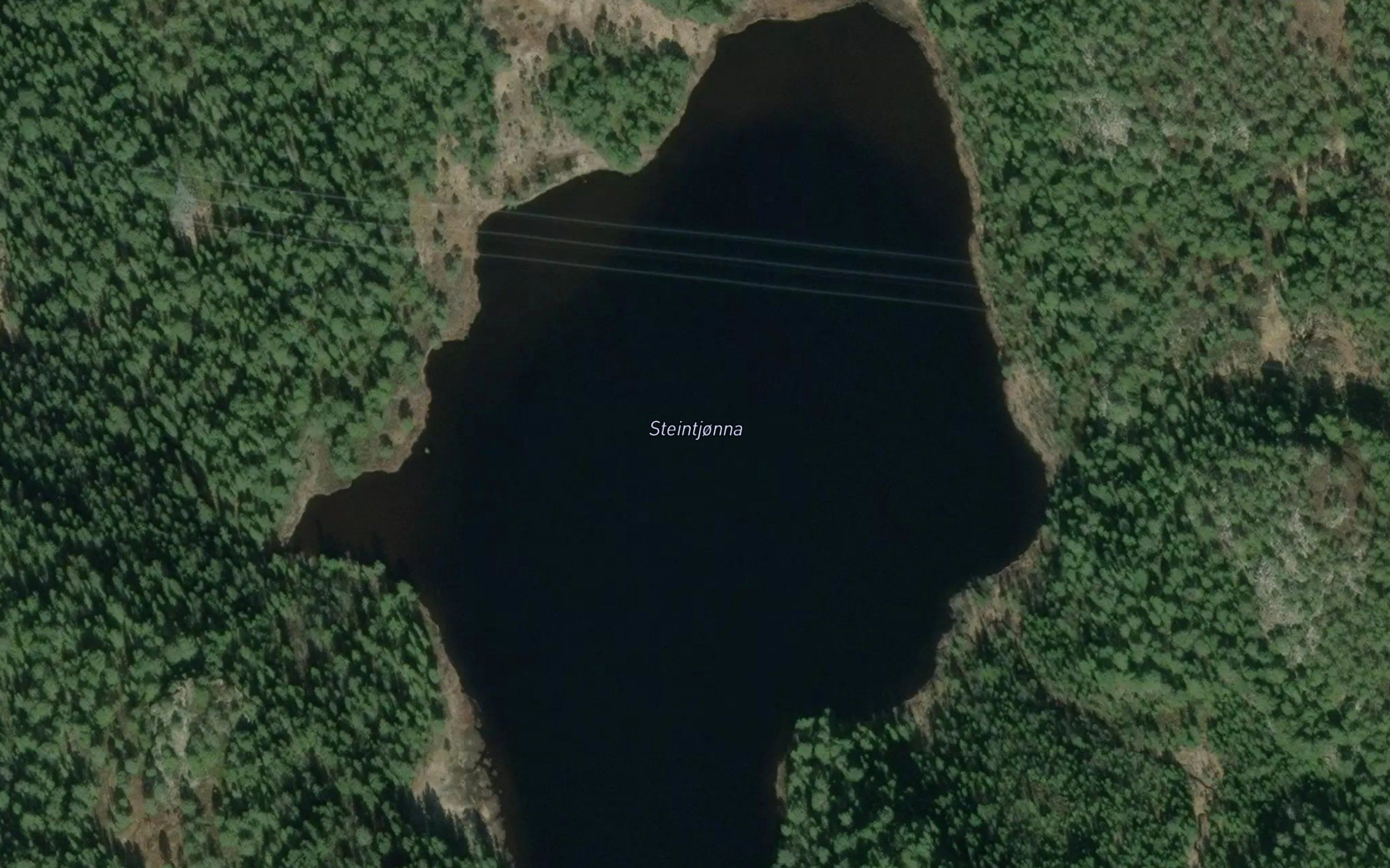 Steintjorna