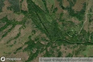 Tisdell Spring