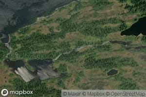 Gollomselva