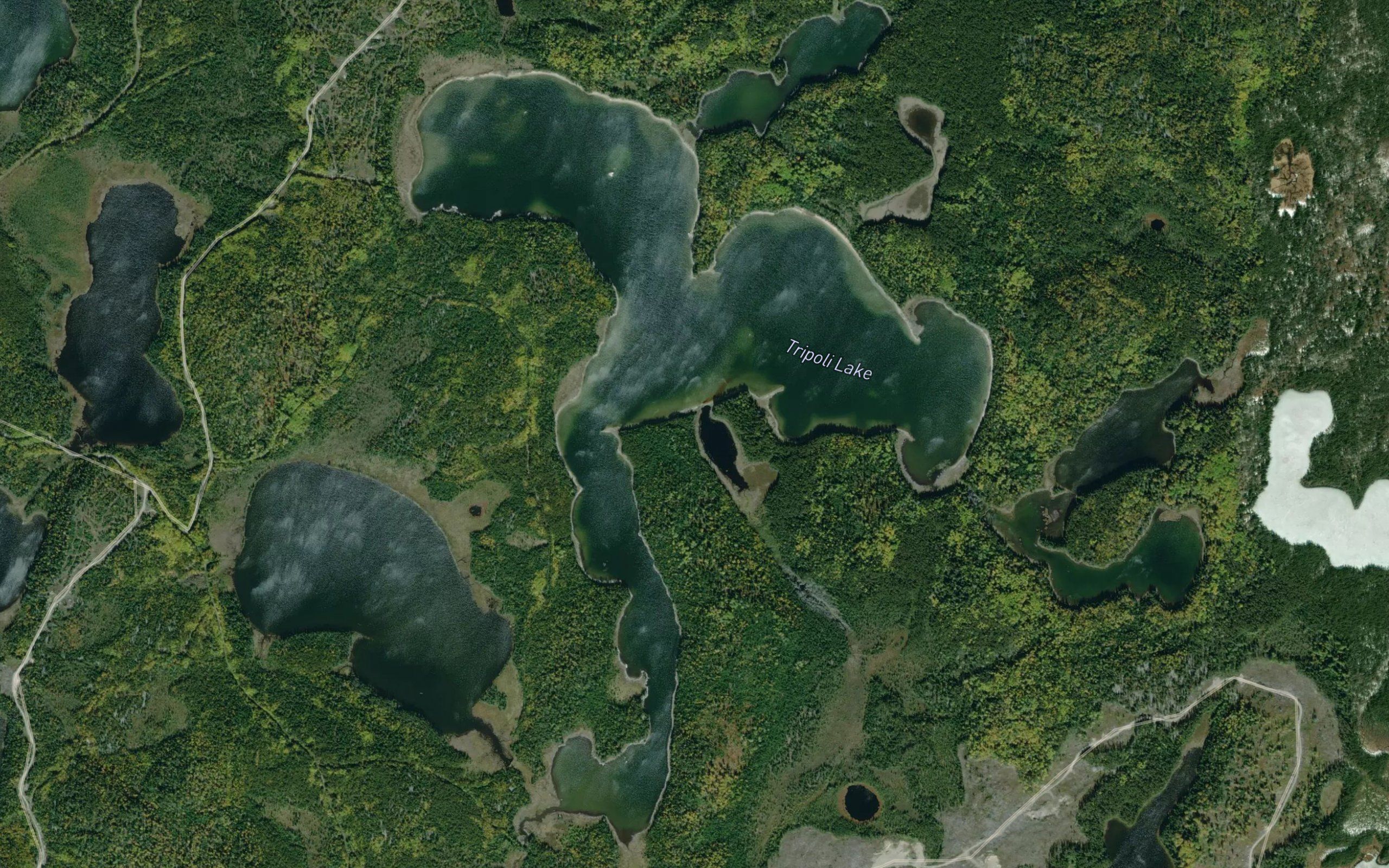 Elsie Lake