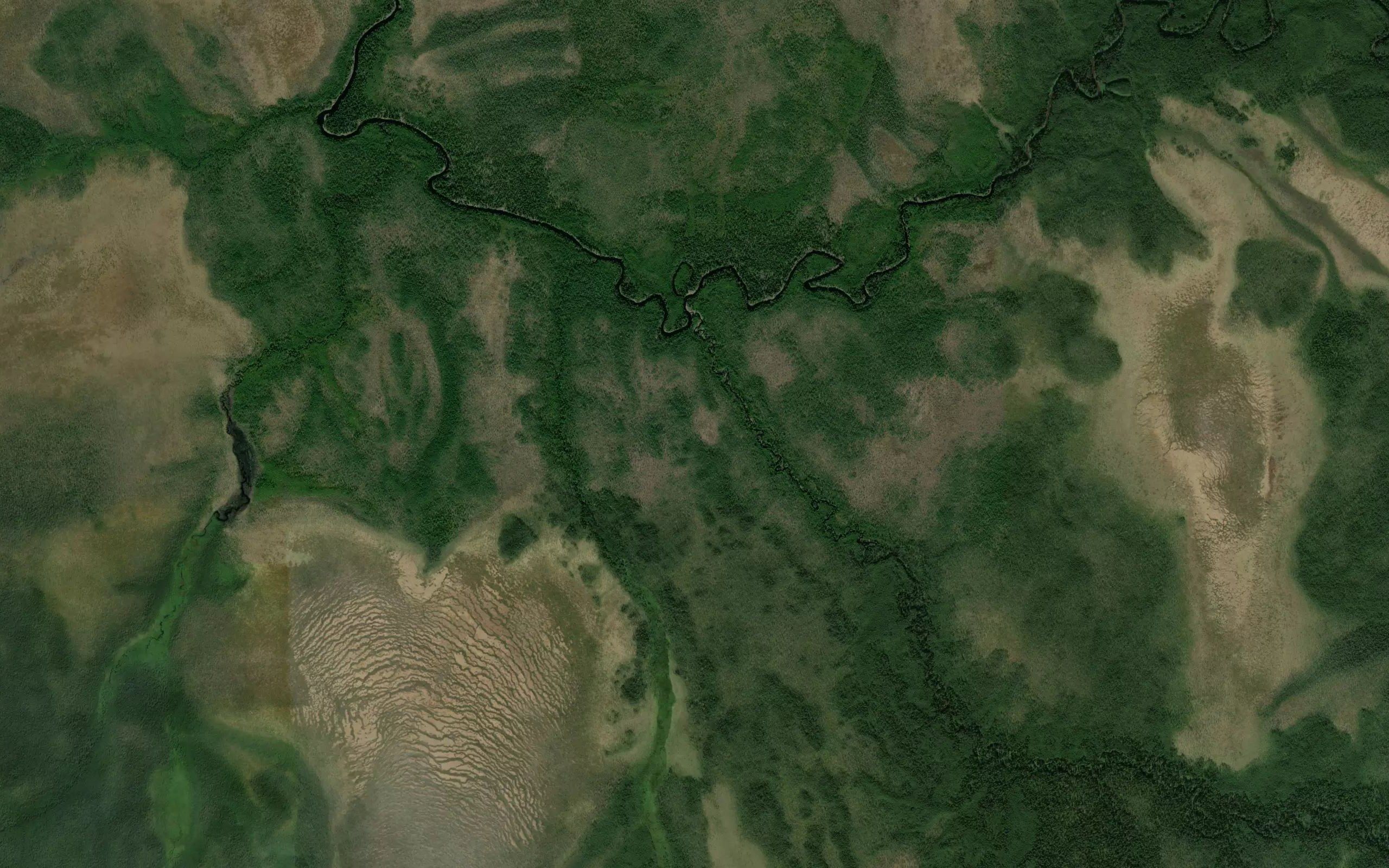 Letnyaya