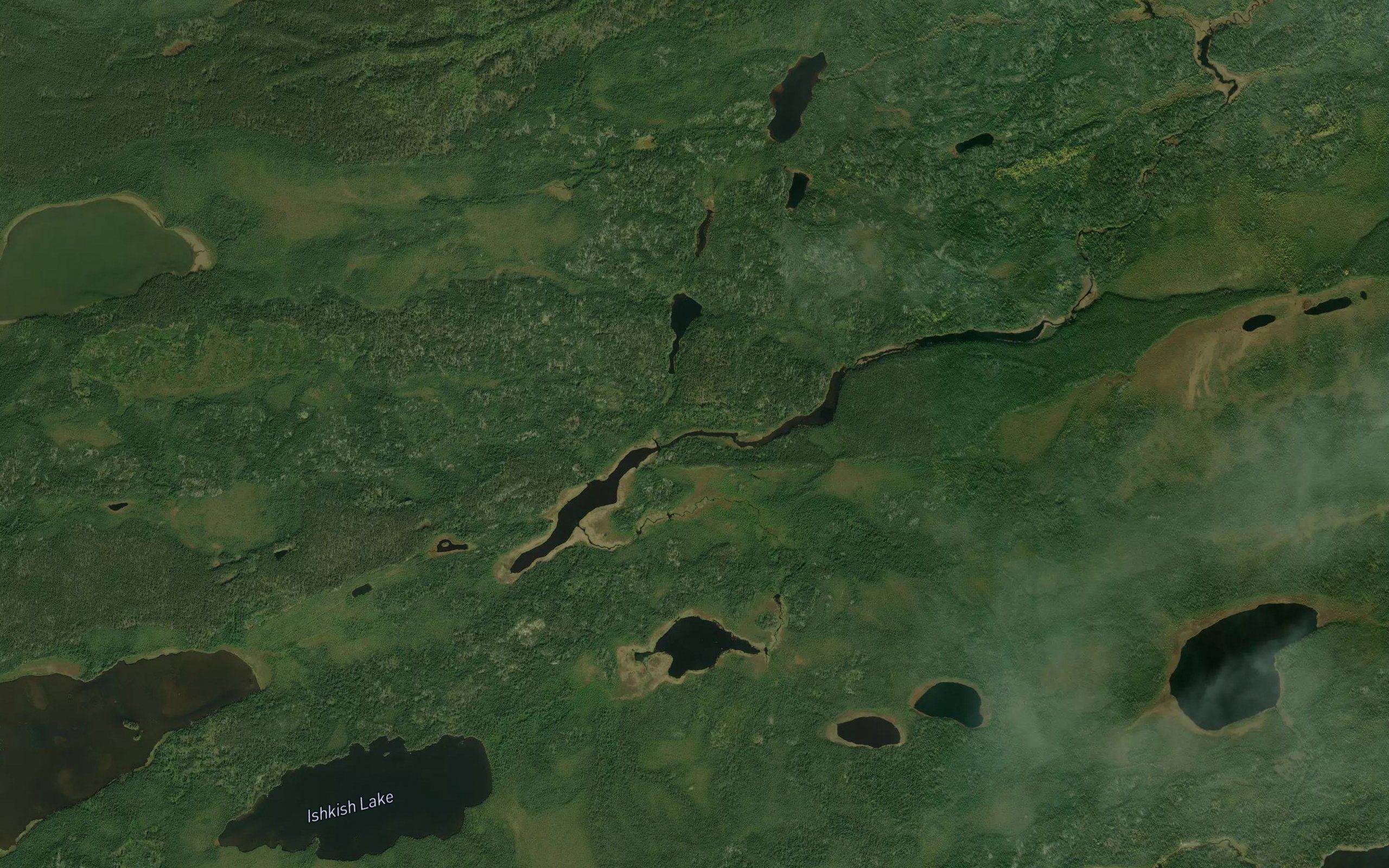 Lilypad Lakes