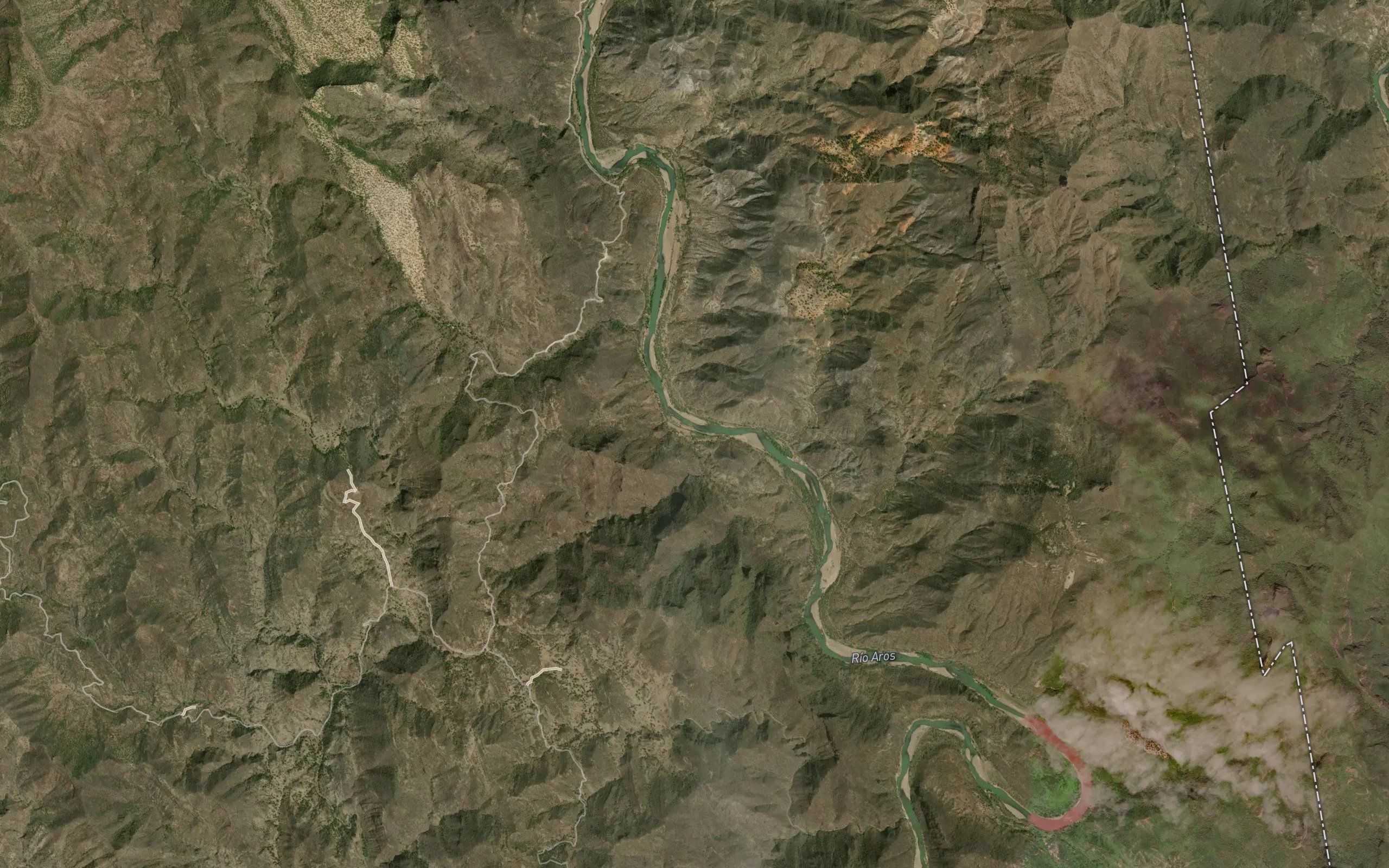 Palo Dulce