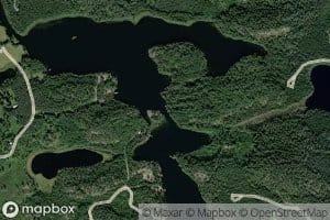 Kaksosvirta