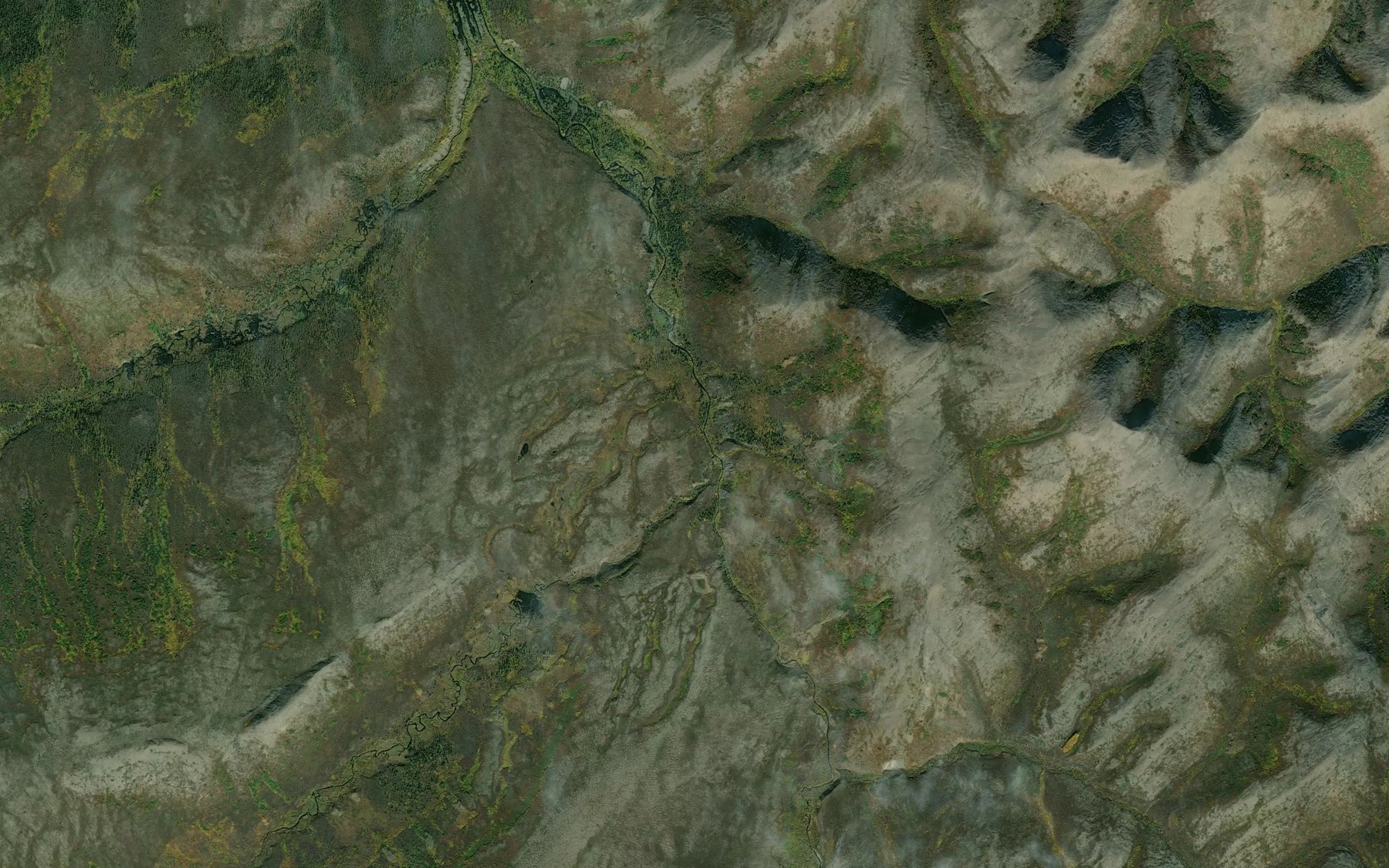 Satellite map of the Loco Creek