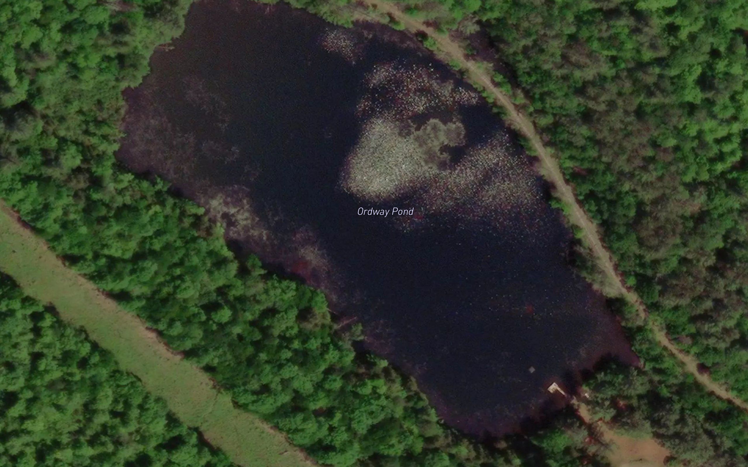 Ordway Pond