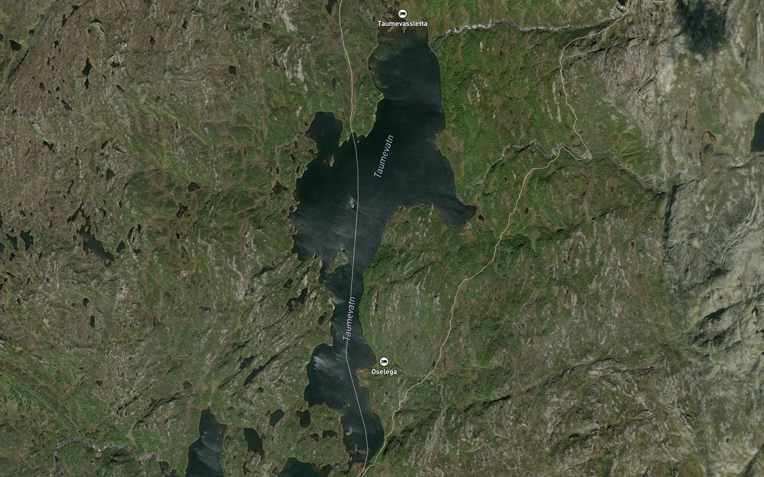 Taumevatn