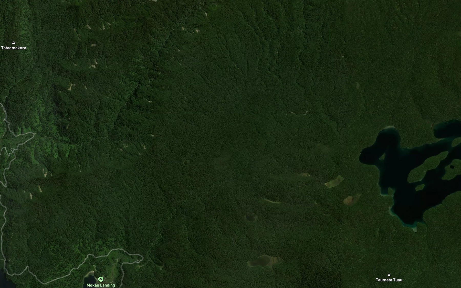Satellite map of the Mokau Stream