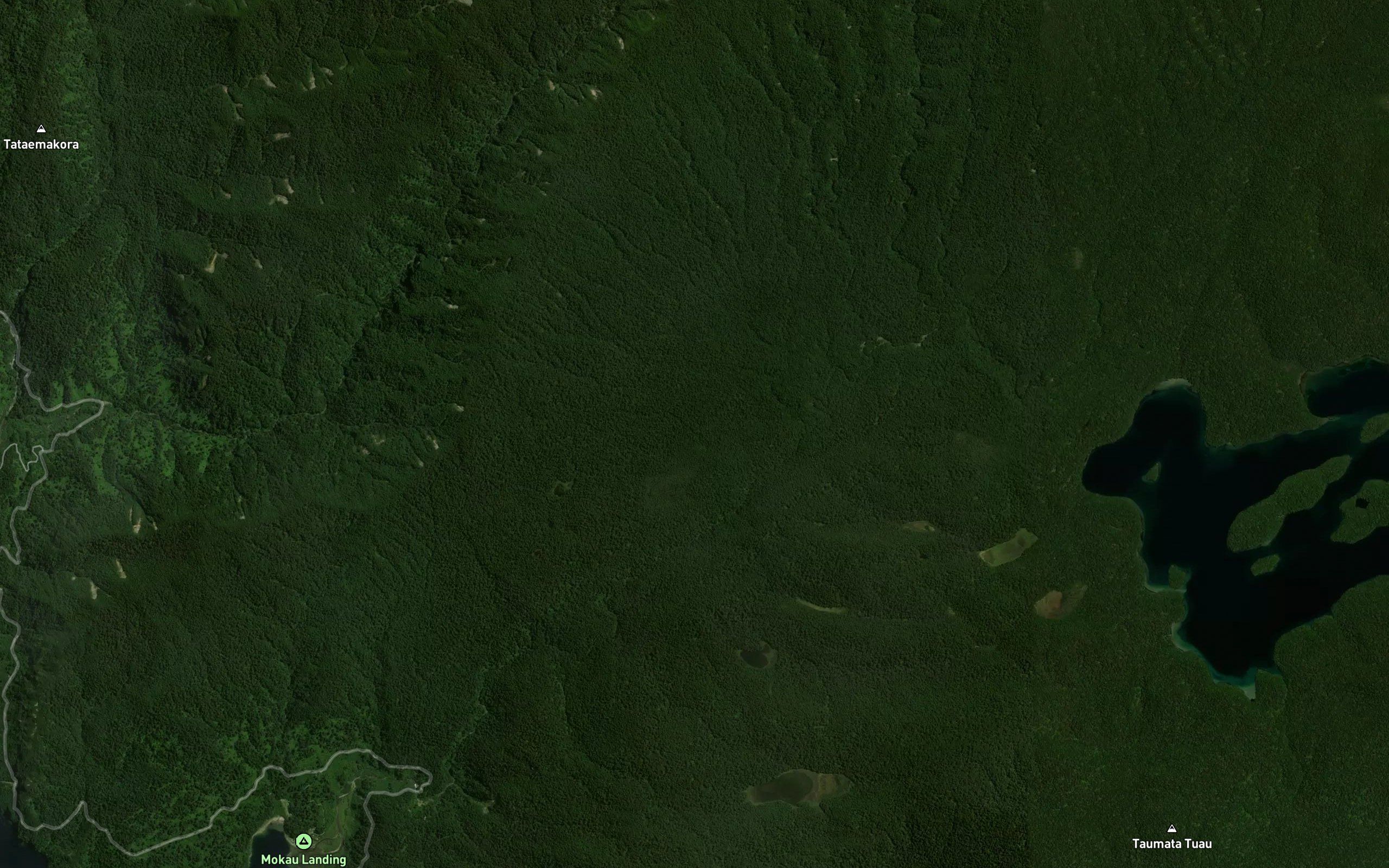 Mokau Stream
