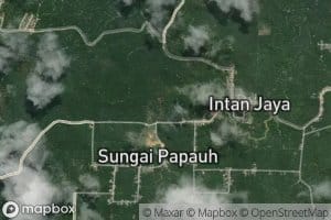 Sungai Papauh