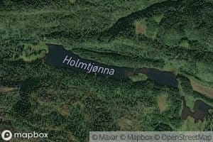 Holmtjorna