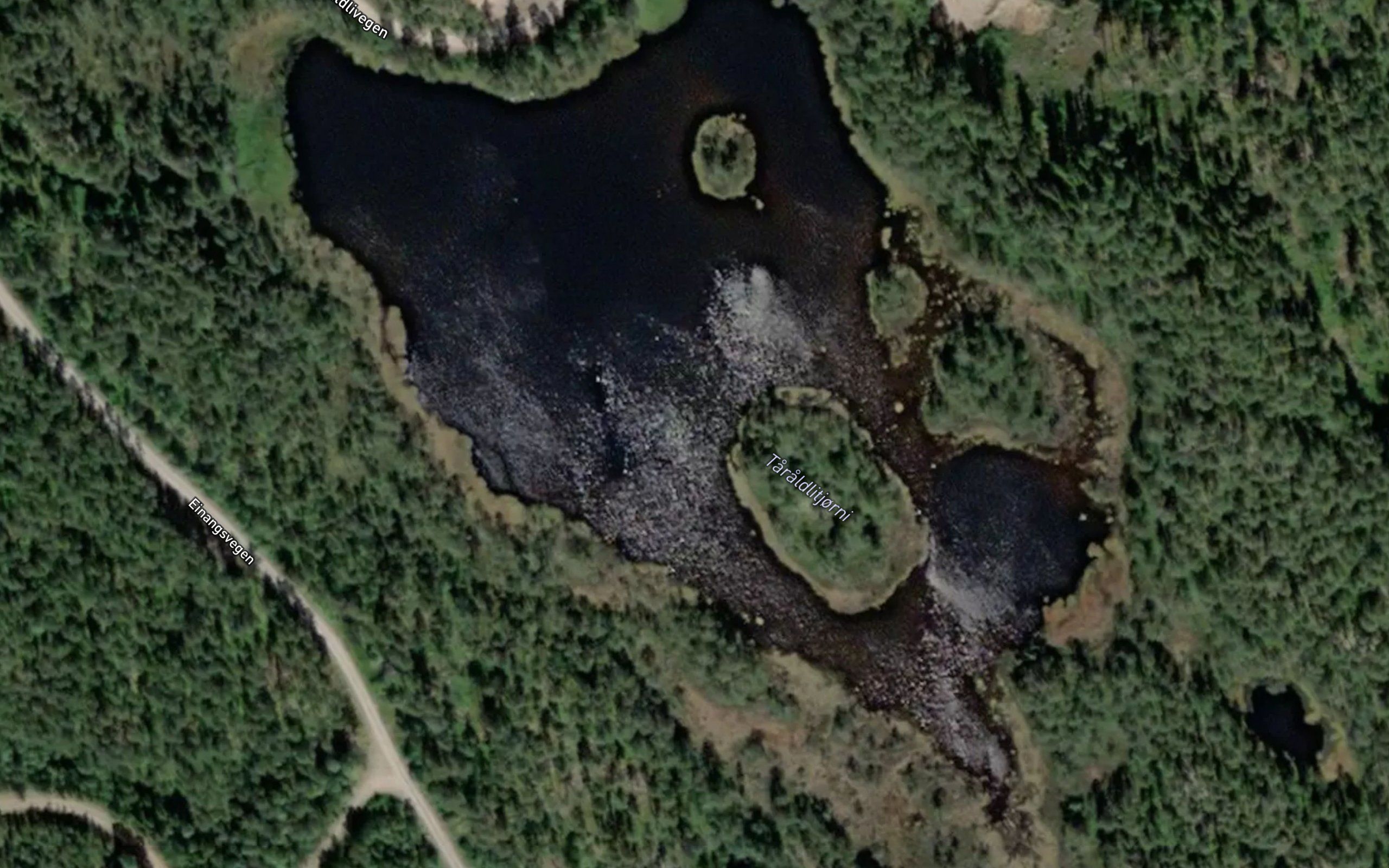 Taraldlitjonna