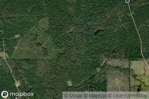 Middle Fork Bayou Loco