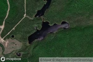 Lac Guess