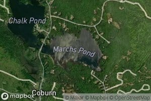 Marchs Pond
